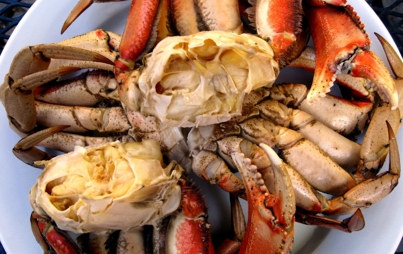 Steamed Dungeness Crabs