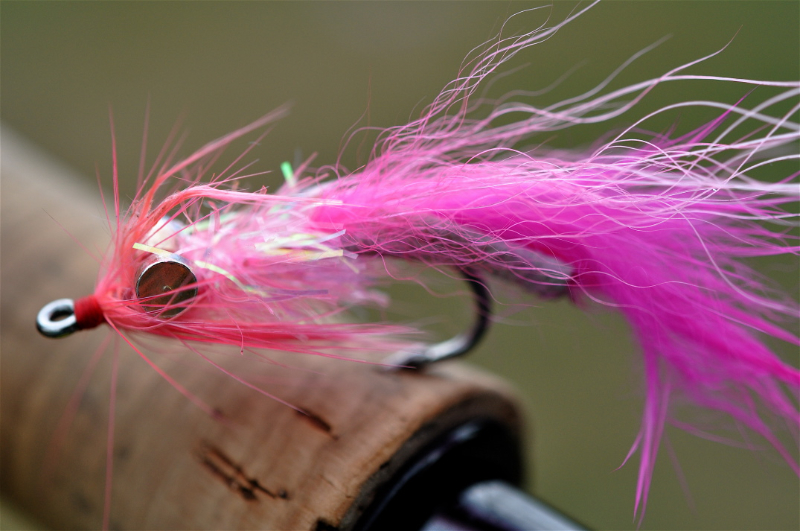 Pink Salmon Fly